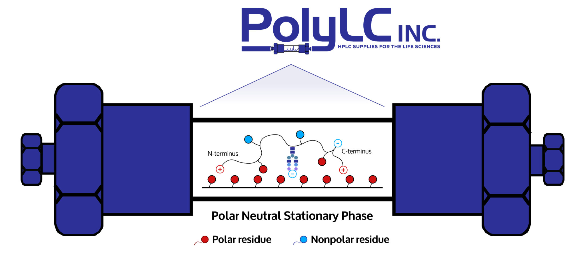 Hylic Definition HILIC Columns for Polar Separations | PolyLC